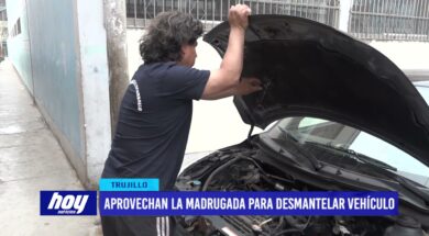 Aprovechan la madrugada para desmantelar vehículo
