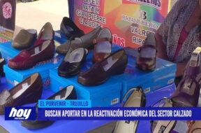 Buscan aportar en la reactivación económica del sector calzado