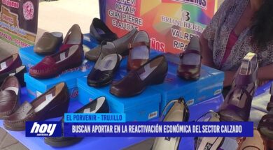 Buscan aportar en la reactivación económica del sector calzado