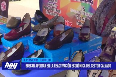 Buscan aportar en la reactivación económica del sector calzado