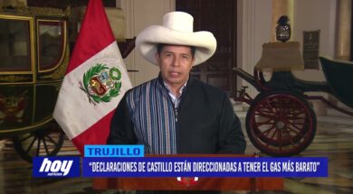“Declaraciones de Castillo están direccionadas a tener el gas más barato”