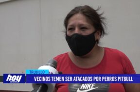 Vecinos temen ser atacados por perros pitbull