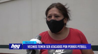 Vecinos temen ser atacados por perros pitbull