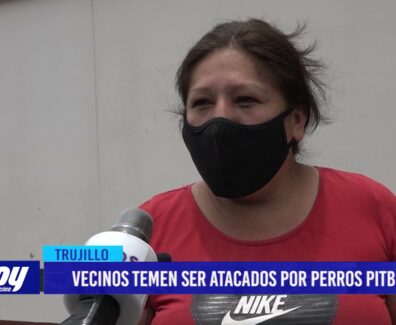 Vecinos temen ser atacados por perros pitbull
