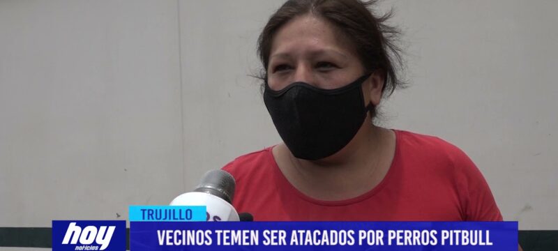 Vecinos temen ser atacados por perros pitbull