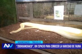 “Zoohuanchaco”, un espacio para conocer la variedad de fauna