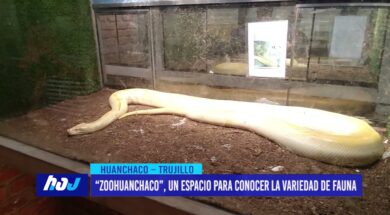 “Zoohuanchaco”, un espacio para conocer la variedad de fauna