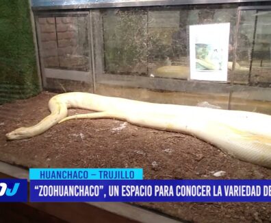 “Zoohuanchaco”, un espacio para conocer la variedad de fauna