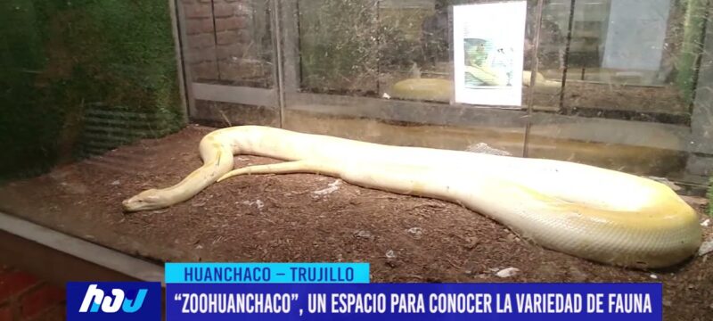 “Zoohuanchaco”, un espacio para conocer la variedad de fauna